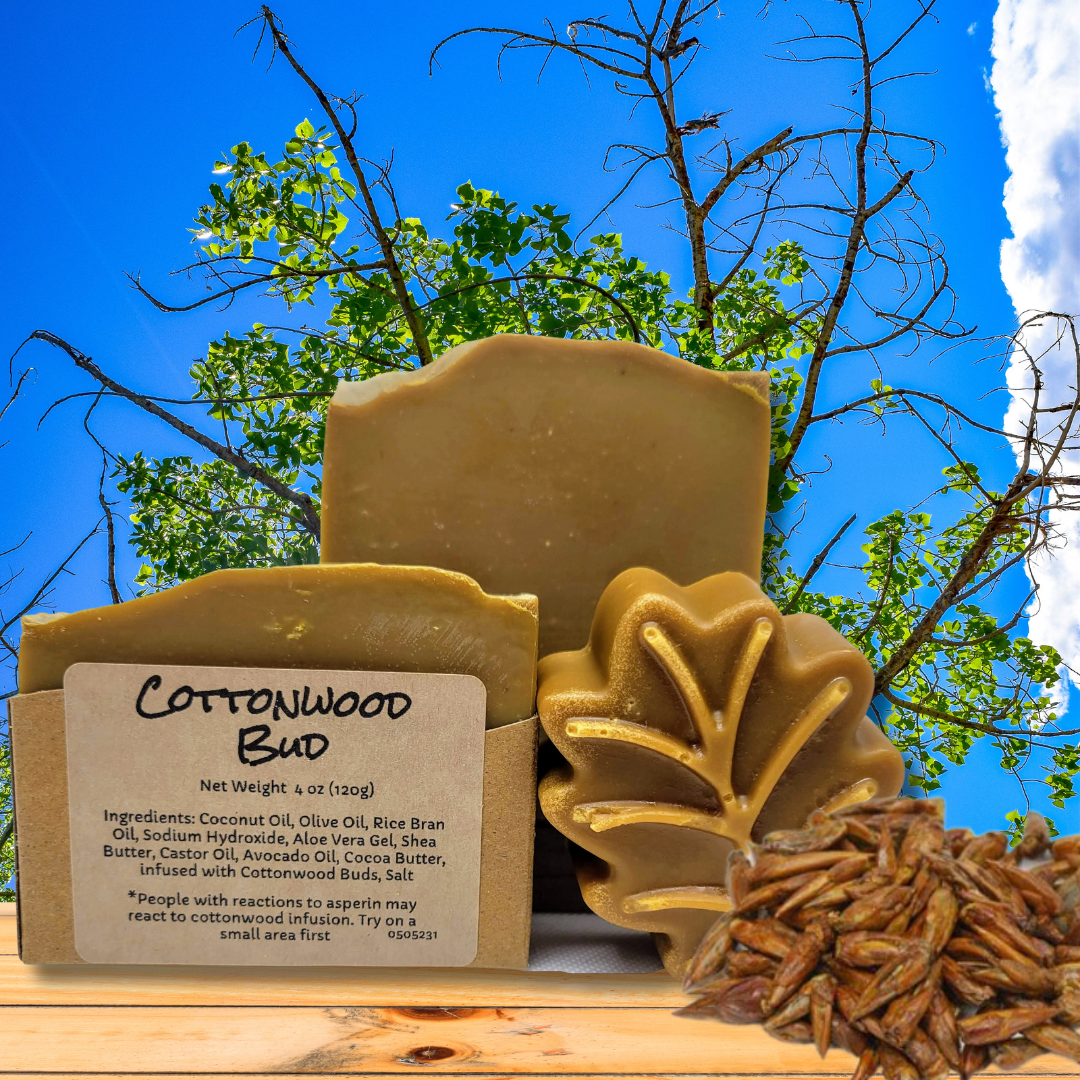 Cottonwood Bud